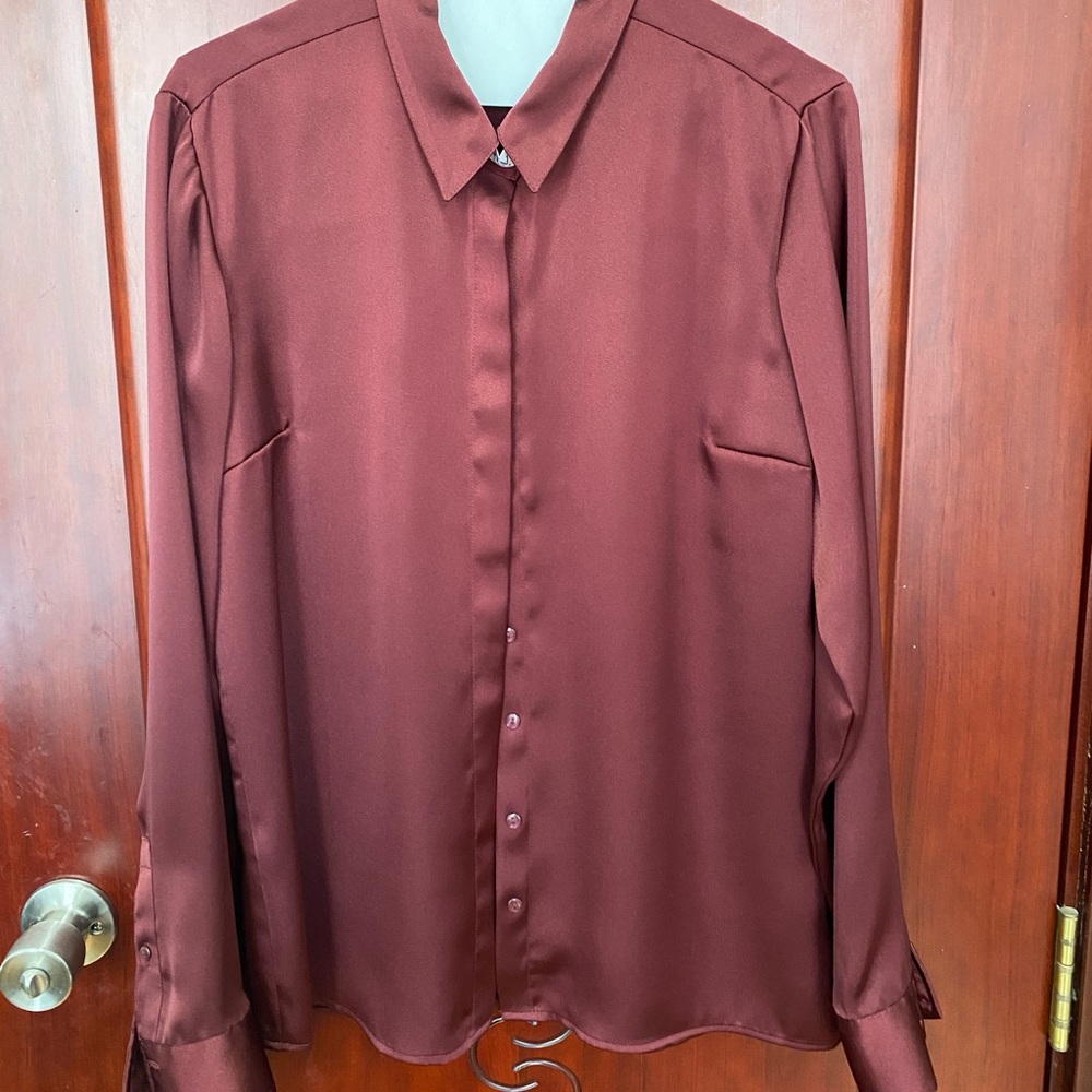 Express Womens Satin Slim Portofino Shirt